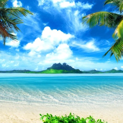 1920 x 1080 HD Wallpapers 3201